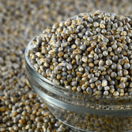 Pearl Millet (Bajra)